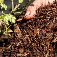 Mulch