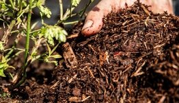 Mulch image