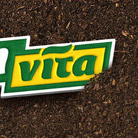 Culvita