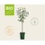 Prunus domestica 'Opal' - BIO mini