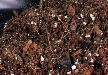 Wat is het verschil tussen potgrond en tuinaarde?