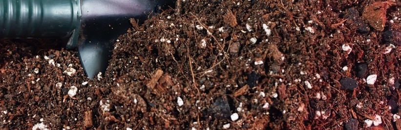 Wat is het verschil tussen potgrond en tuinaarde?