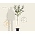 Prunus domestica 'Czar' - halfstam