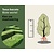 Taxus baccata - blote wortel