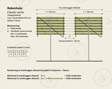 Lei-laurier l. 'Brenelia' - Classic - pakket 5 stuks + EXTRA'S!