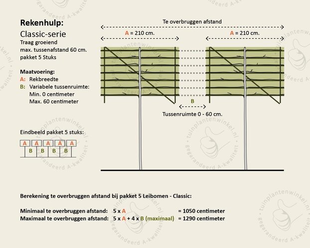 Lei-laurier l. 'Brenelia' - Classic - pakket 5 stuks + EXTRA'S!