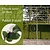 Lei-Groene Beuk - Classic - pakket 3 stuks + EXTRA'S!