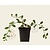 Cotoneaster dammeri