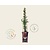 Pyracantha coccinea 'Red Column'