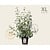Viburnum bodnantense 'Dawn' - XL