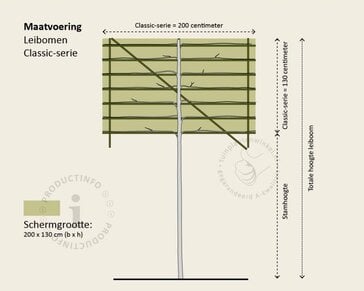 Lei-Veldesdoorn - Classic - pakket 4 stuks + EXTRA'S!