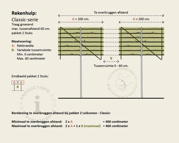 Lei-Laurier 'Caucasica' - Classic - pakket 2 stuks + EXTRA'S!
