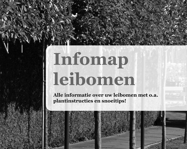 Informatiemap - leibomen