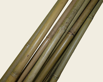 Bamboestok 120 cm image