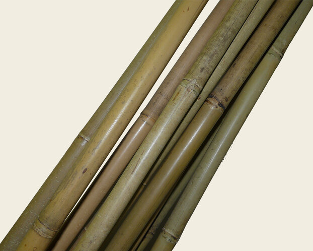 Bamboestok 120 cm