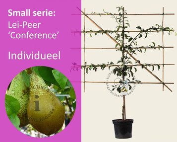 Leipeer - Rek 120x90 cm image