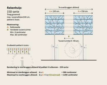 Lei-Photinia - 150 - pakket 6 stuks + EXTRAS!
