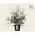Viburnum 'Pragense' - XL