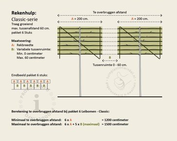Lei-Sierappel 'Evereste'- Classic - pakket 6 stuks + EXTRA'S!