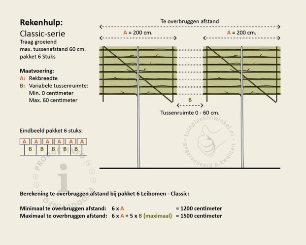 Lei-Sierappel 'Evereste'- Classic - pakket 6 stuks + EXTRA'S!