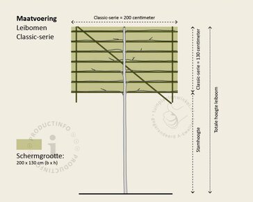 Lei-Appel 'Elstar' - Classic - individueel geen extra's