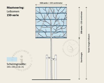 Lei-conifeer 'Leylandii' - 150 - pakket 6 stuks + EXTRAS!