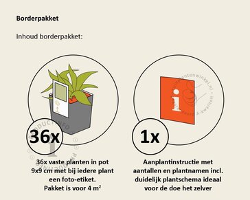 Borderpakket Rosea schaduw-halfschaduw - (pakket 13)