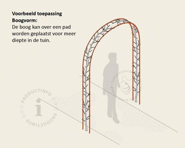 Thuja plicata 'Excelsa' - Boogvorm set