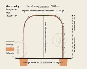 Liquidambar styraciflua 'Worplesdon' - Boogvorm set