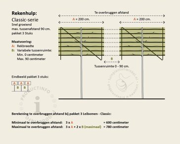 Lei amberboom - Rek 200x130 cm - pakket 3 stuks