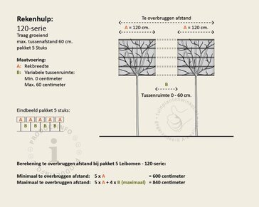 Glansmispel leiboom - Rek 120x120 cm - pakket 5 stuks + EXTRAS!