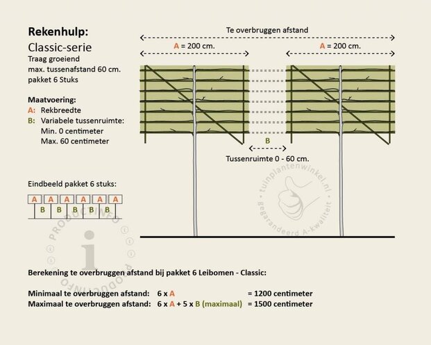 Groene leibeuk - Rek 200x130 cm - pakket 6 stuks