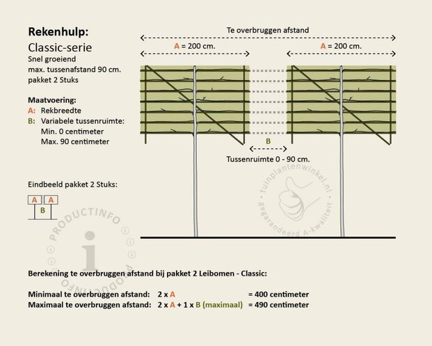 Carpinus betulus leiboom - Rek 200x130 cm - pakket 2 stuks