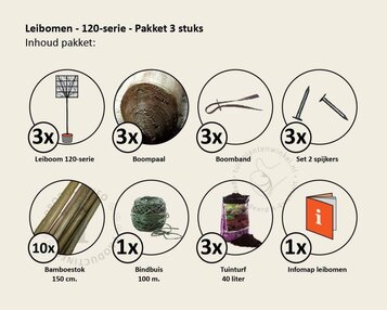 Glansmispel leiboom - Rek 120x120 cm - pakket 3 stuks image