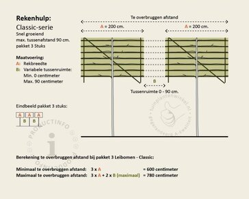 Carpinus betulus leiboom - Rek 200x130 cm - pakket 3 stuks
