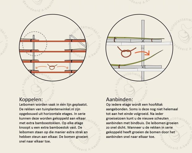 Rode leibeuk - Rek 200x130 cm - pakket 5 stuks