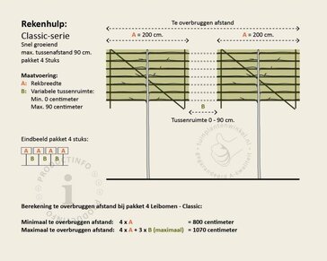 Leiplataan - Rek 200x130 cm - pakket 4 stuks