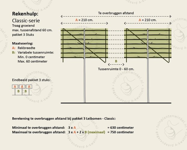Prunus lusitanica brenelia leiboom - Rek 200x130 cm - pakket 3 stuks