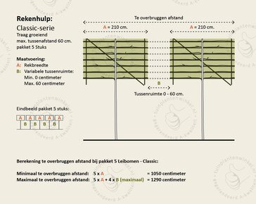 Prunus lusitanica brenelia leiboom - Rek 200x130 cm - pakket 5 stuks