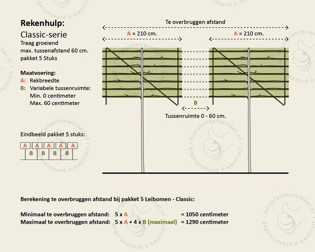 Prunus lusitanica brenelia leiboom - Rek 200x130 cm - pakket 5 stuks