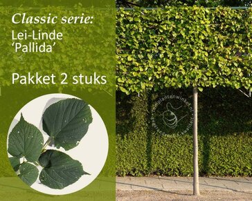Leilinde - Rek 200x130 cm - pakket 2 stuks