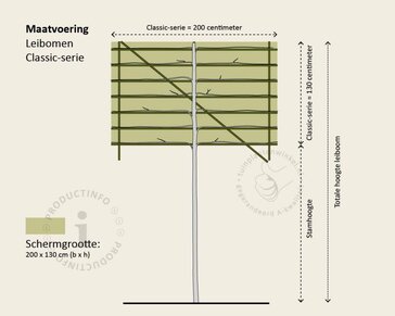 Prunus caucasica leiboom - Rek 200x130 cm - pakket 6 stuks