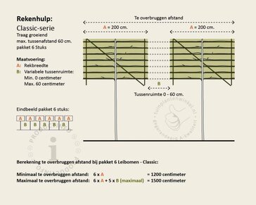 Prunus caucasica leiboom - Rek 200x130 cm - pakket 6 stuks