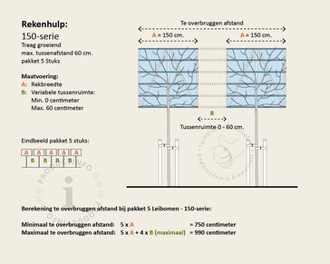 Steeneik leiboom - Rek 150x150 cm - pakket 5 stuks + EXTRAS!