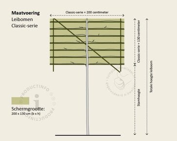 Prunus caucasica leiboom - Rek 200x130 cm - pakket 4 stuks