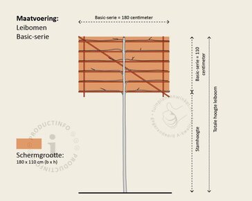 Prunus caucasica leiboom - Rek 180x110 cm - pakket 4 stuks