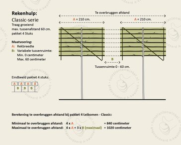 Prunus lusitanica brenelia leiboom - Rek 200x130 cm - pakket 4 stuks