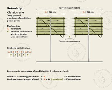 Prunus lusitanica brenelia leiboom - Rek 200x130 cm - pakket 6 stuks