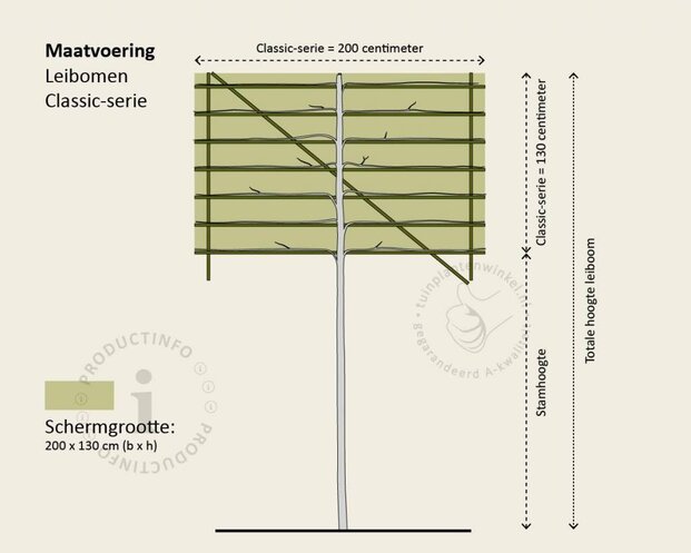 Malus red sentinel leiboom - Rek 200x130 cm - pakket 4 stuks