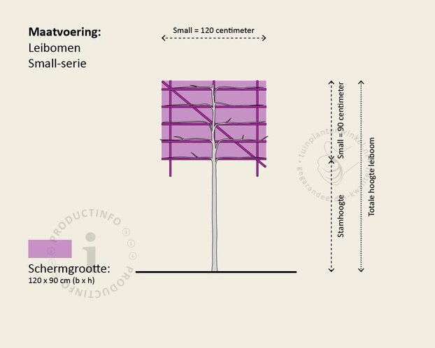 Olijfwilg leiboom - Rek 120x90 cm - pakket 3 stuks